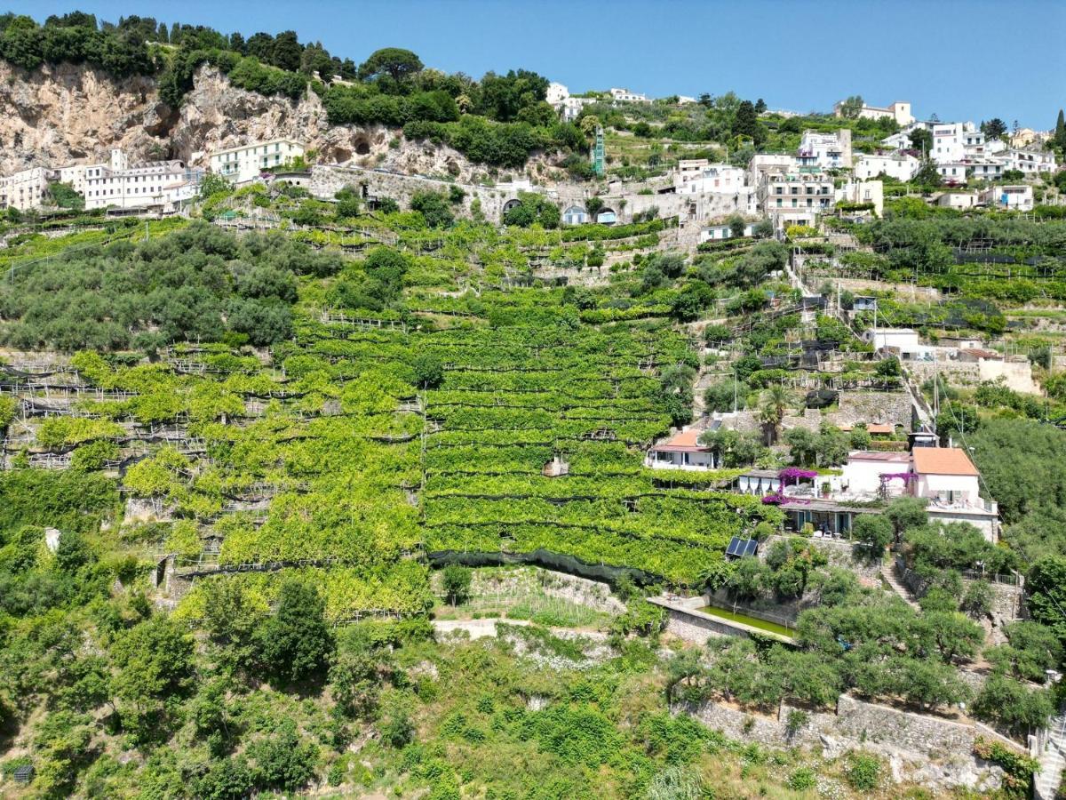B&B I Limoni Ravello Eksteriør billede