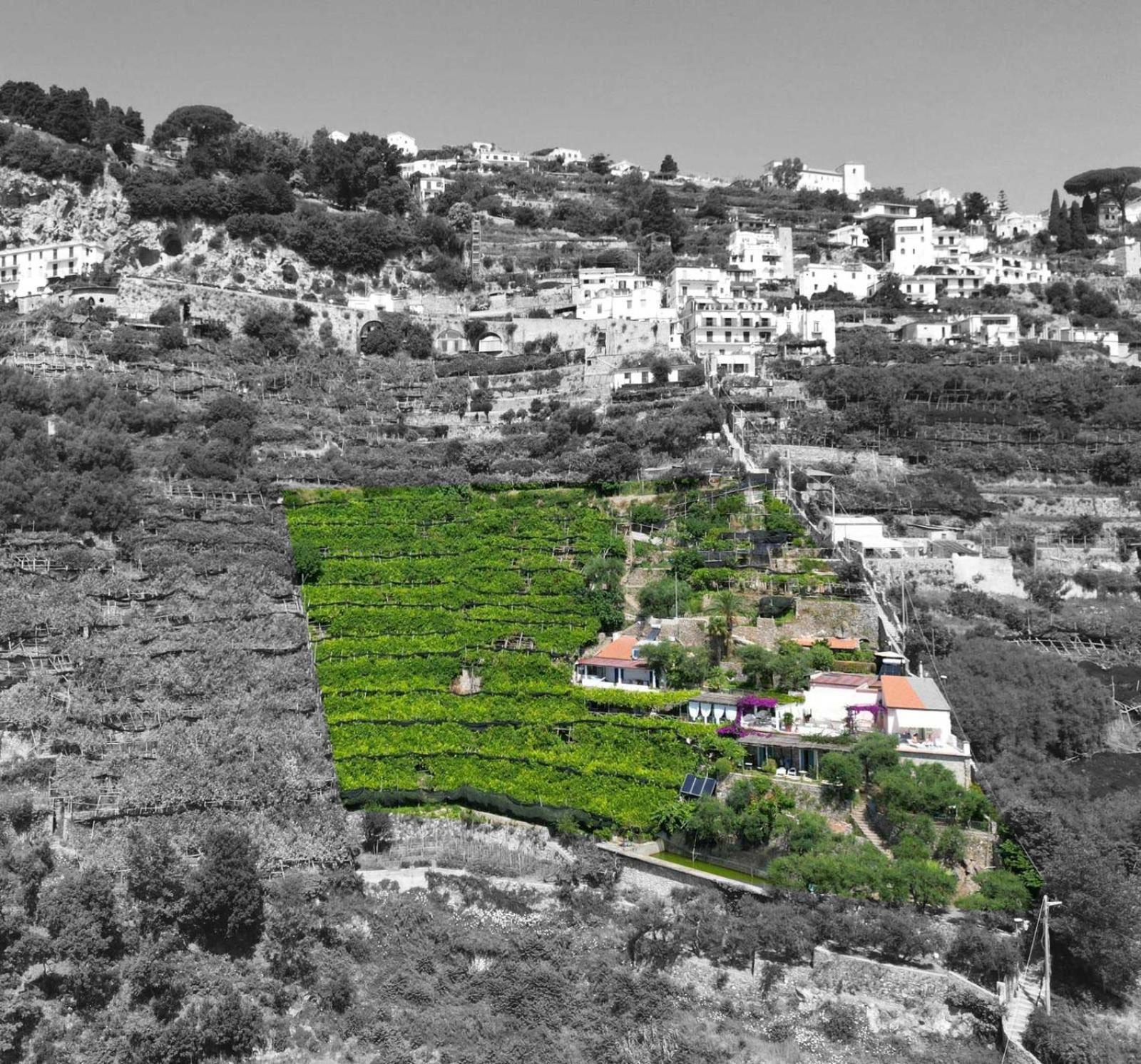 B&B I Limoni Ravello Eksteriør billede