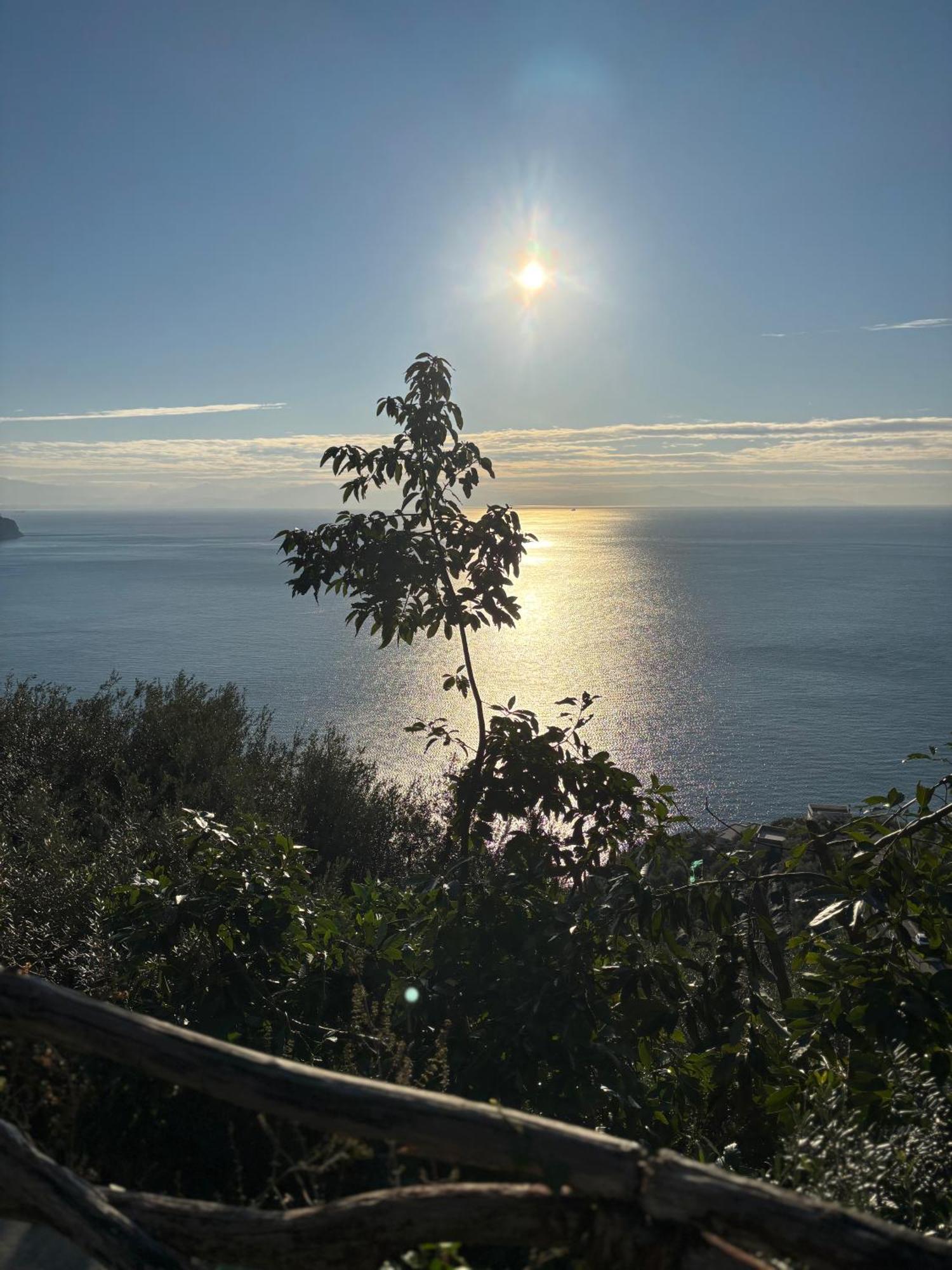 B&B I Limoni Ravello Eksteriør billede