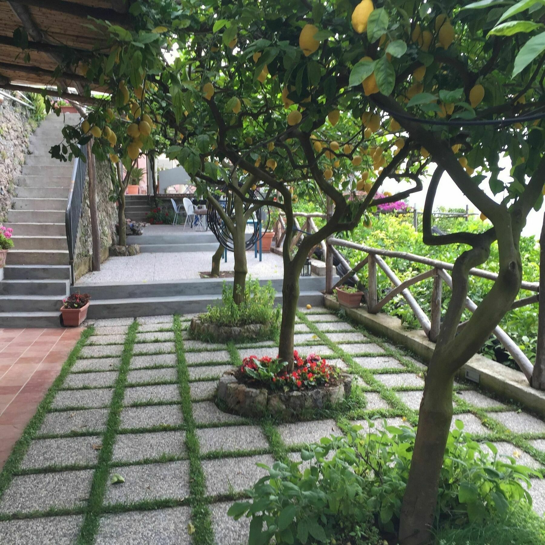 B&B I Limoni Ravello Eksteriør billede
